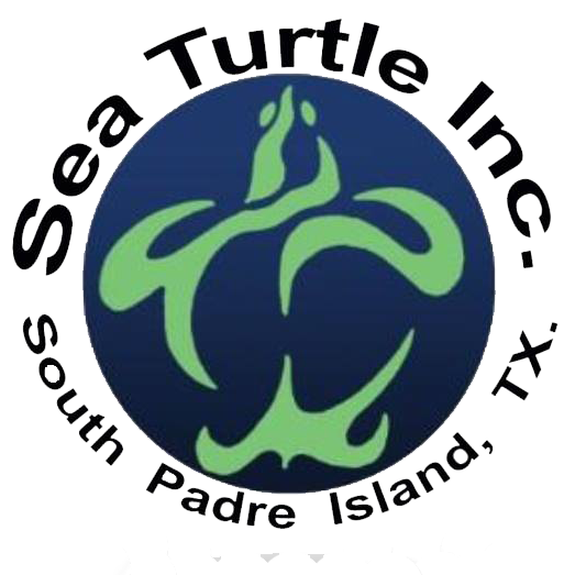 Sea Turtle Inc.