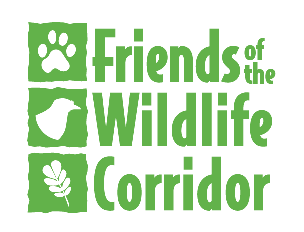 Friends of the Wildlife Corridor